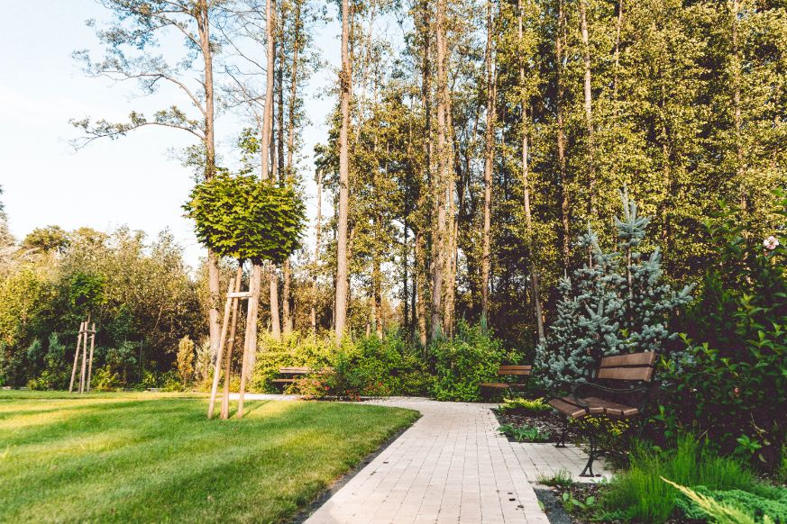 Rodzinny Dom Opieki Nasza Przystań w Rąbieniu leży w malowniczej, zielonej okolicy