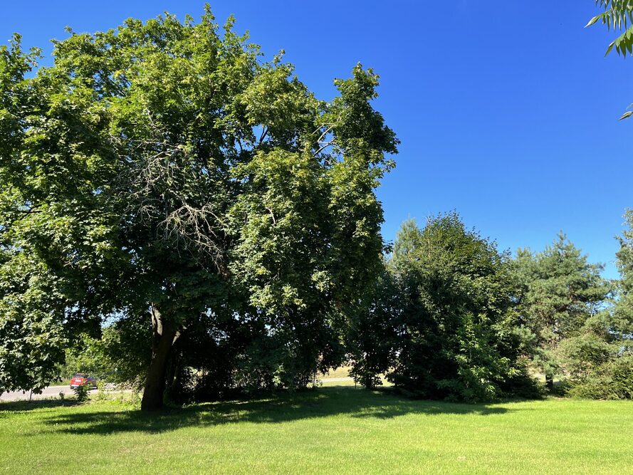 Dom Seniora Szpakowo w Szpakowie