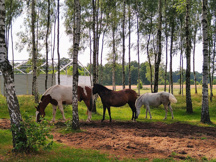 Dom Seniora Sielska Osada w Jaźwiu