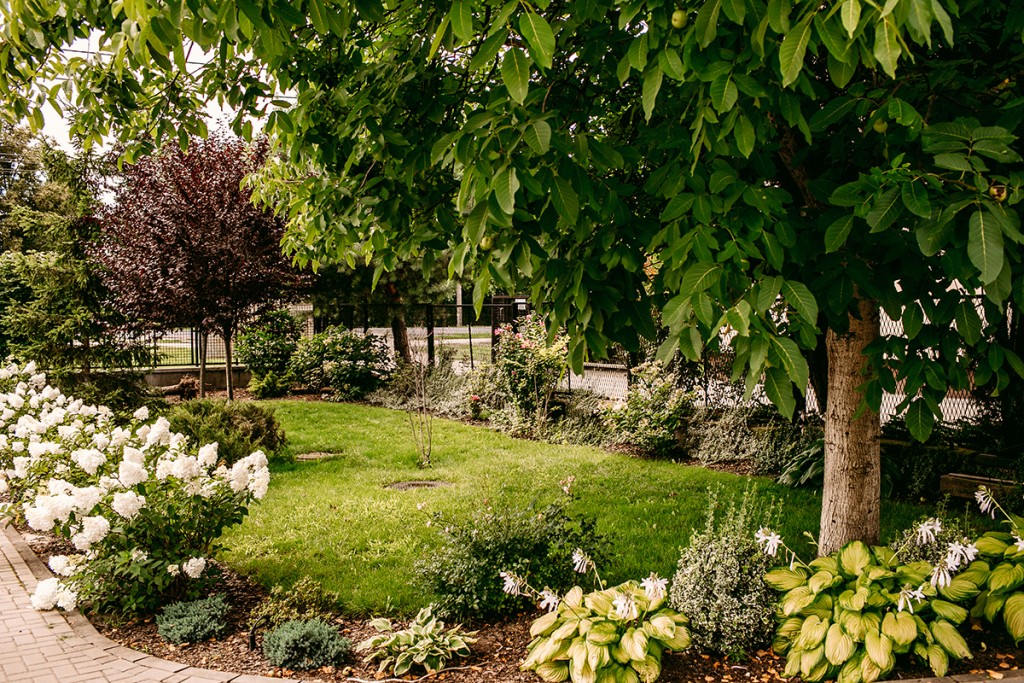 Prywatny Dom Opieki Złota Jesień w Jabłonnie