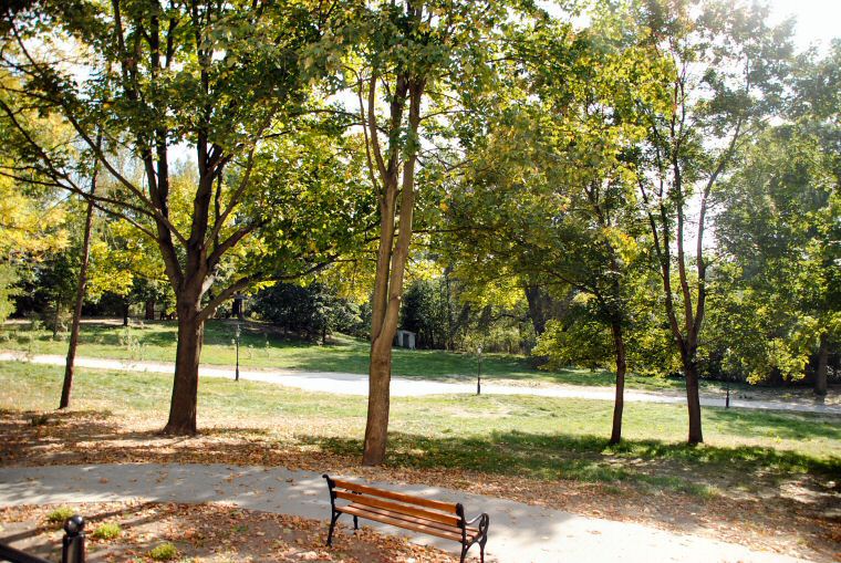 Dom Opieki Zielony Park w Starzechowicach