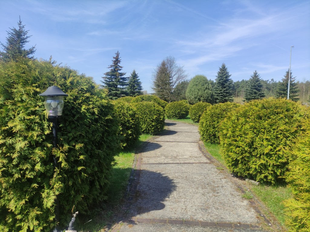 Dom Spokojnej Starości w Skępem