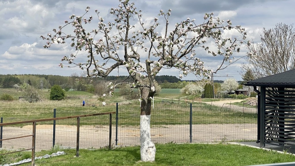Dom Seniora Cichy Zakątek w Strzelczynie