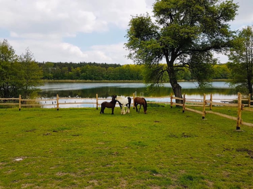 Dom Seniora „Dworek Pod Kasztanami" w Reczu