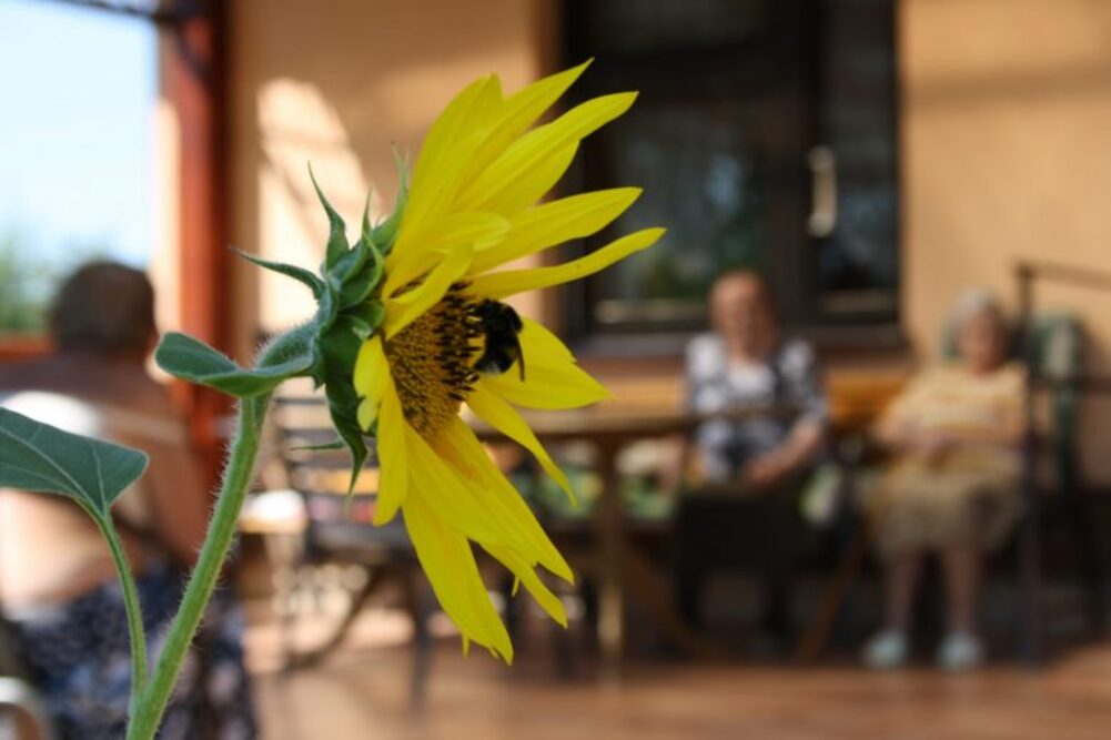 Całodobowy Dom Opieki „Rodzinne Zacisze" w Strzelcach Wielkich