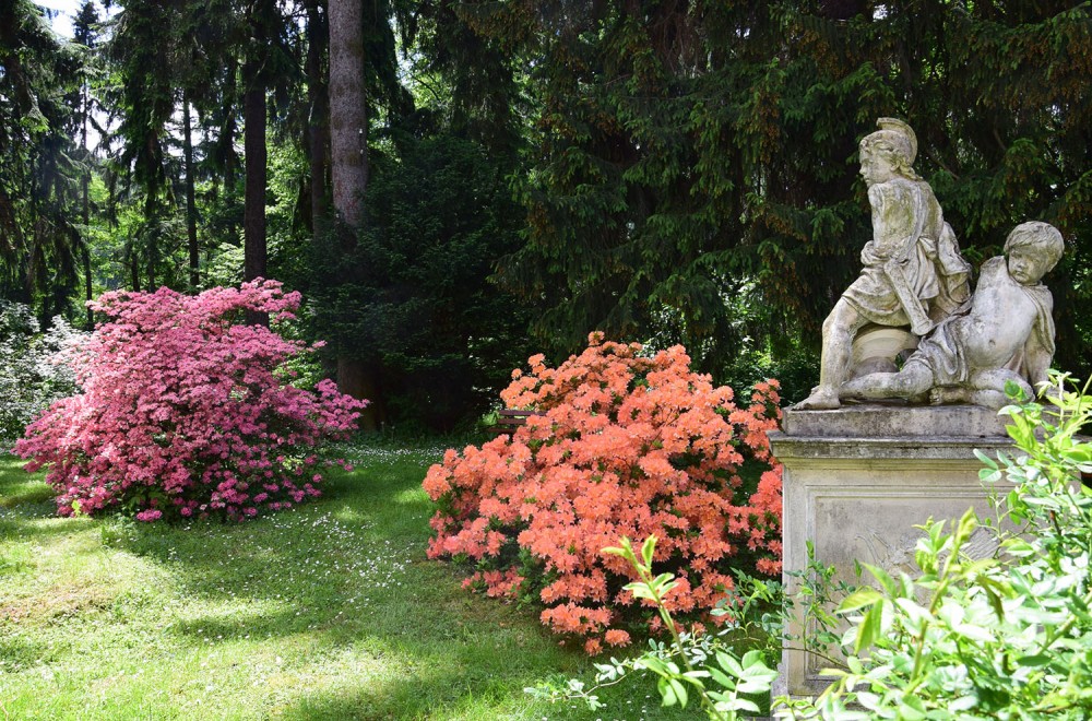 Dolnośląski Ośrodek Opieki Międzypokoleniowej „Biały Orzeł” w Sokołowsku