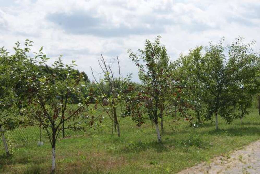 Dom Pogodnego Seniora REMI w Bogaczewie