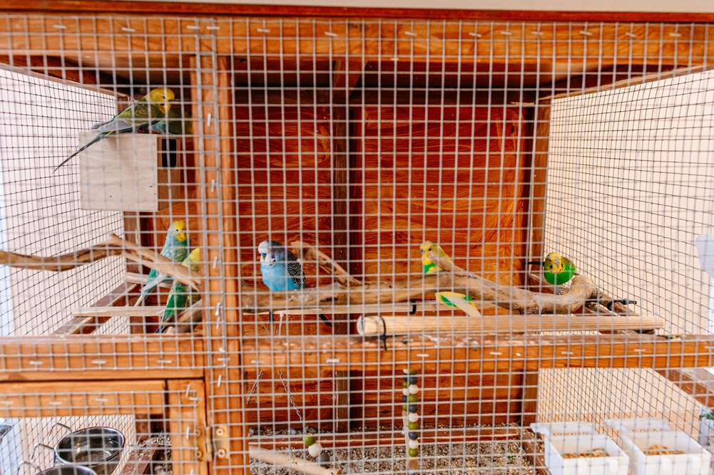 Dom Opieki Senior w Mórkowie