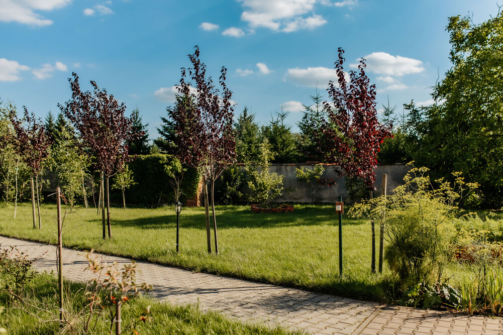 Dom Opieki Senior w Mórkowie