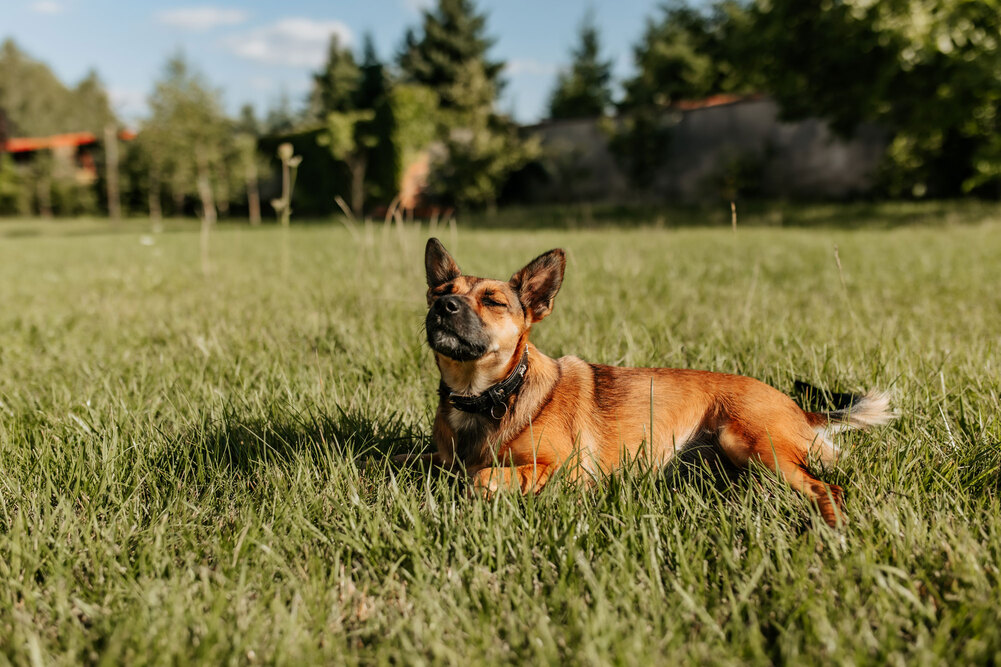 Dom Opieki Senior w Mórkowie