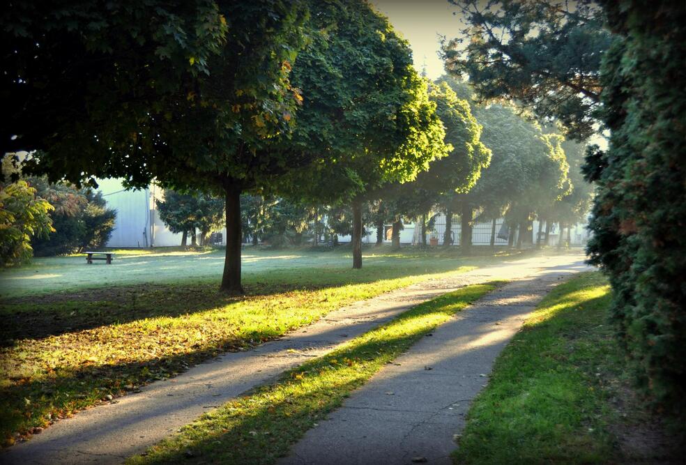 Dom Opieki POD ORZECHEM w Czapurach