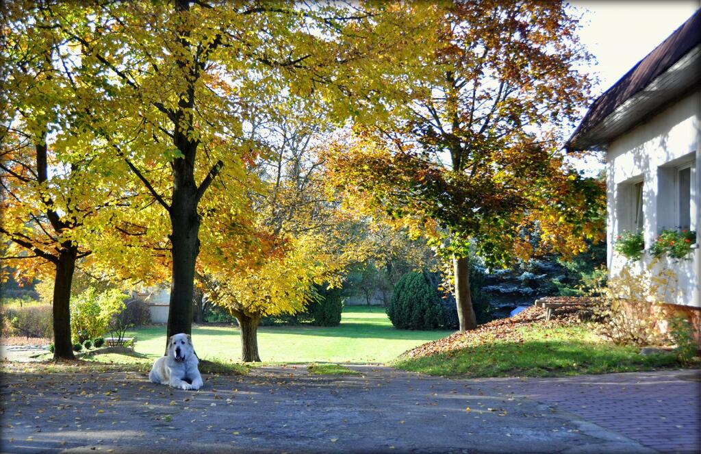 Dom Opieki POD ORZECHEM w Czapurach