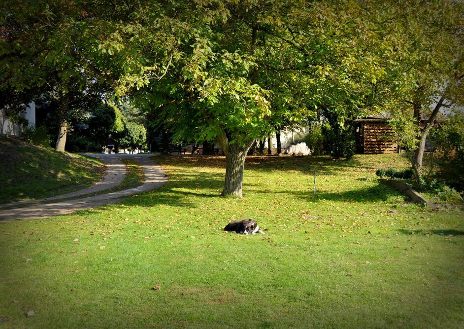 Dom Opieki POD ORZECHEM w Czapurach