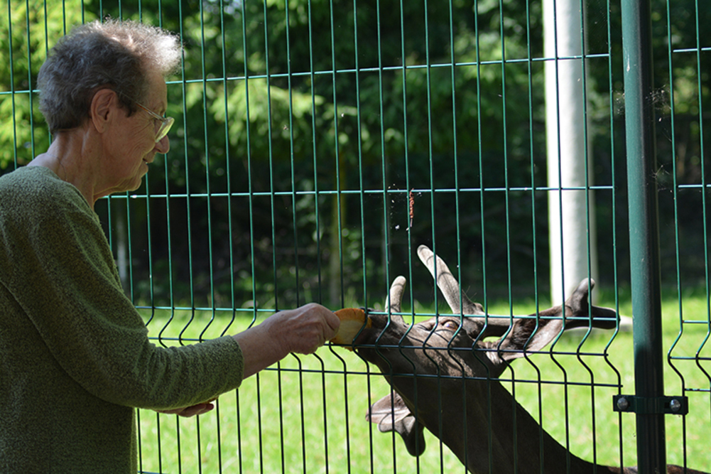 Dom Opieki „Pensjonat Maranta" w Bierutowie