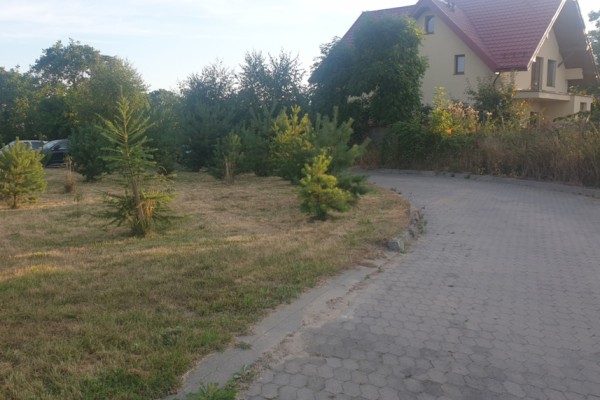 Dom Seniora Lilia w Dębogórzu
