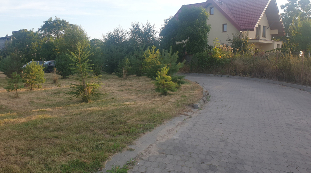 Dom Seniora Lilia w Dębogórzu