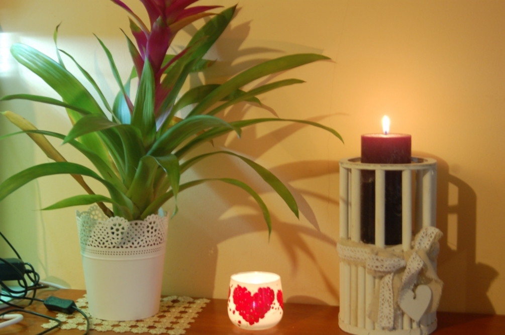 Rodzinny Dom Seniora „Przy Lesie” w Górze