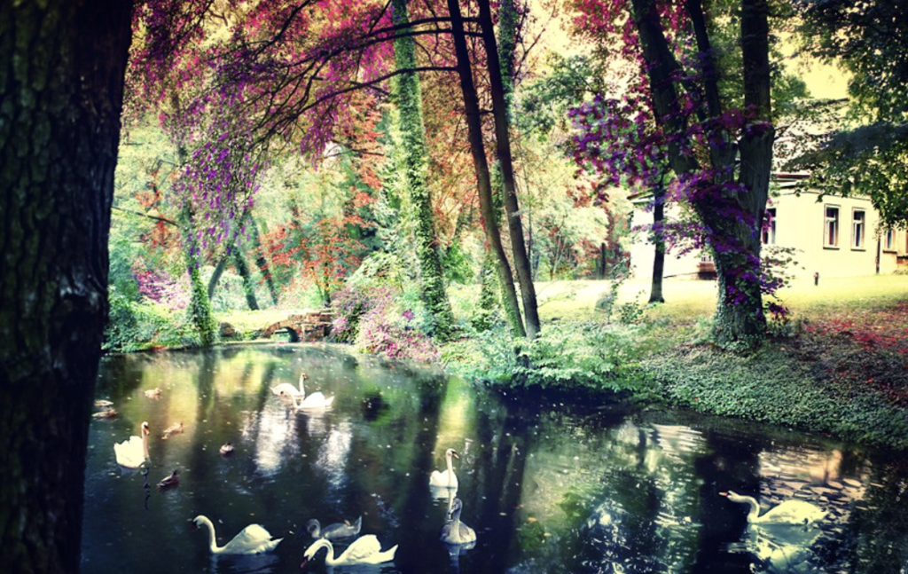 Senior Residence - Pałac w Spławie otoczony jest ponad 6 ha parkiem