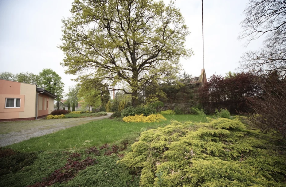 Dom Seniora „Pod Kasztanami" w Dzierżoniowie