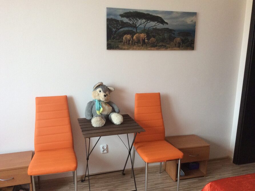 Rodzinny Dom Pomocy „Magnolia" w Teresinie