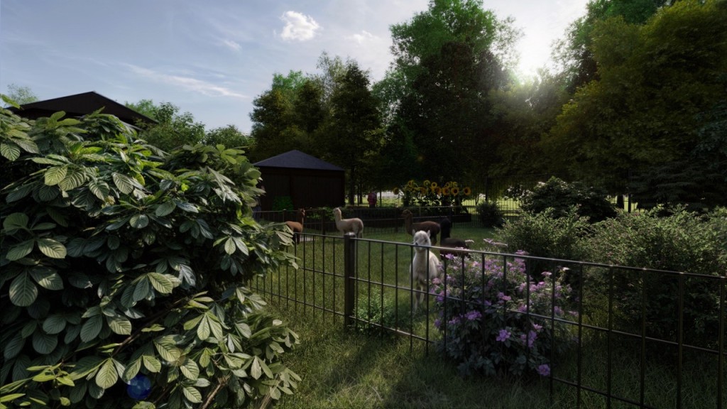 Dom Seniora „Dębowe Wzgórze" w Dębogórzu