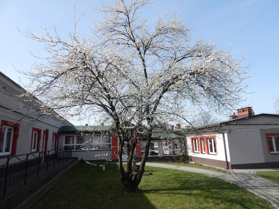 Katolicki Dom Opieki „Józefów" w Bielsku-Białej