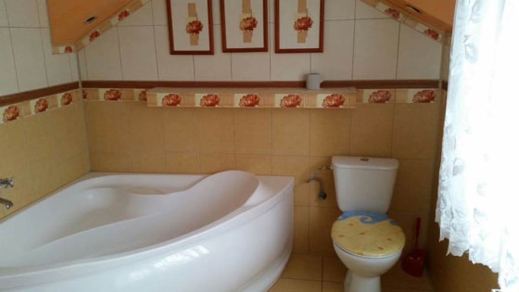 Dom Opieki ARKADIA w Ścinawce Górnej