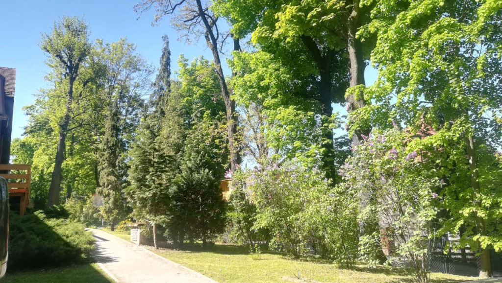 Dom Opieki Zacisze w Szczawnie-Zdroju