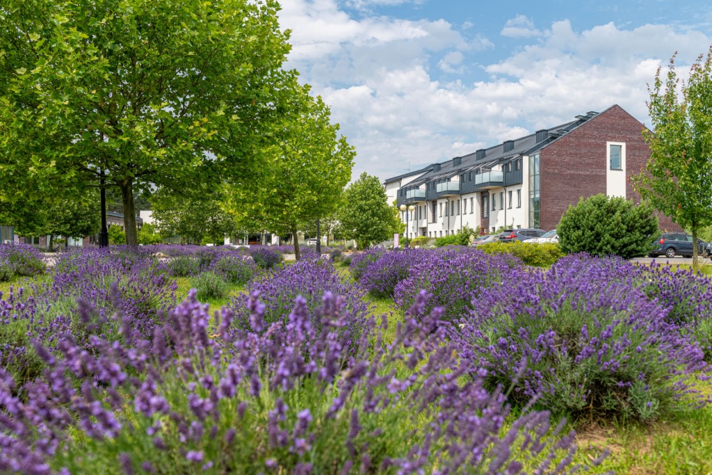 Hotel **** Lawendowe Termy Medical SPA w Uniejowie