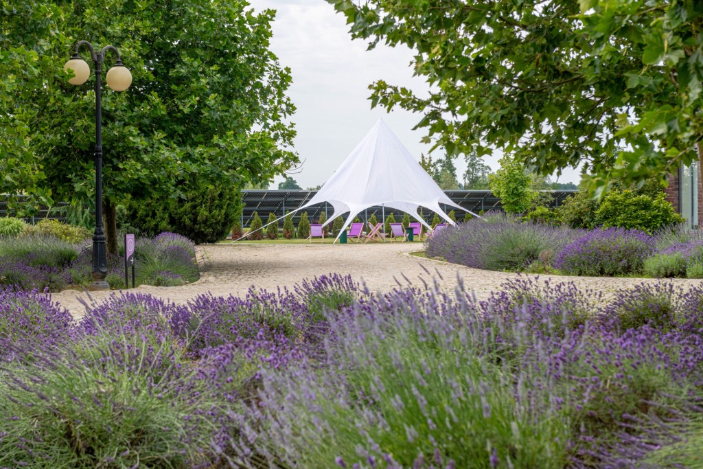 Hotel **** Lawendowe Termy Medical SPA w Uniejowie