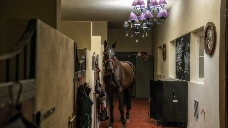 Pałac Alexandrinum w Poświętnem