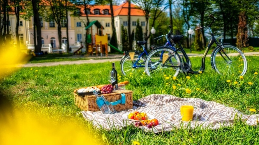 Pałac Alexandrinum w Poświętnem