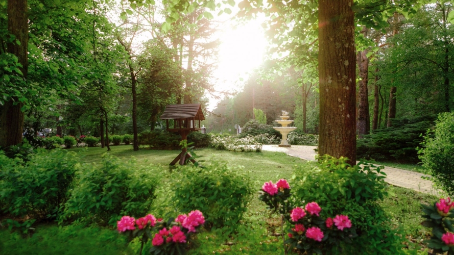 Park Rekreacyjno-Biznesowy LAS WODA w Wildze