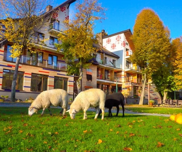 Hotel Piwniczna SPA & Conference w Piwnicznej-Zdroju