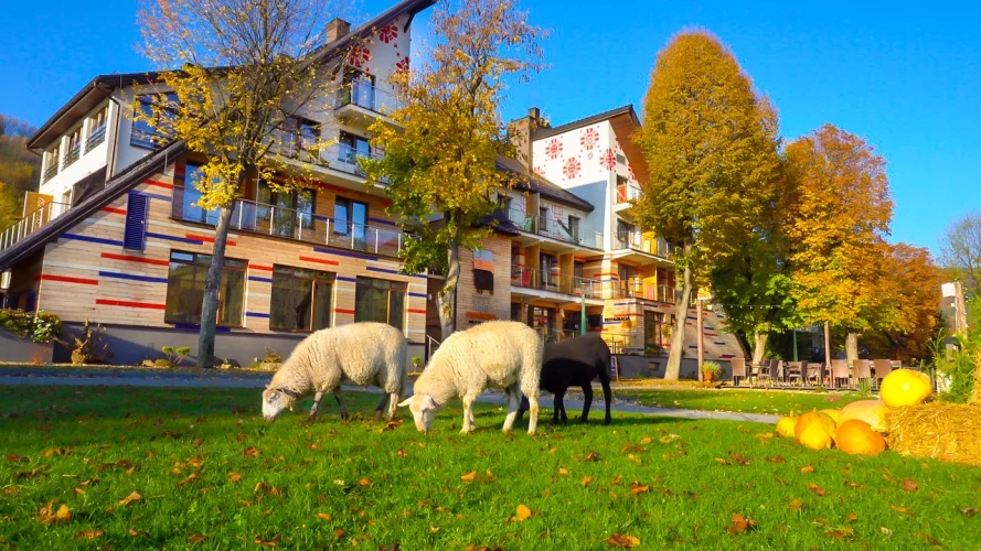 Hotel Piwniczna SPA & Conference w Piwnicznej-Zdroju