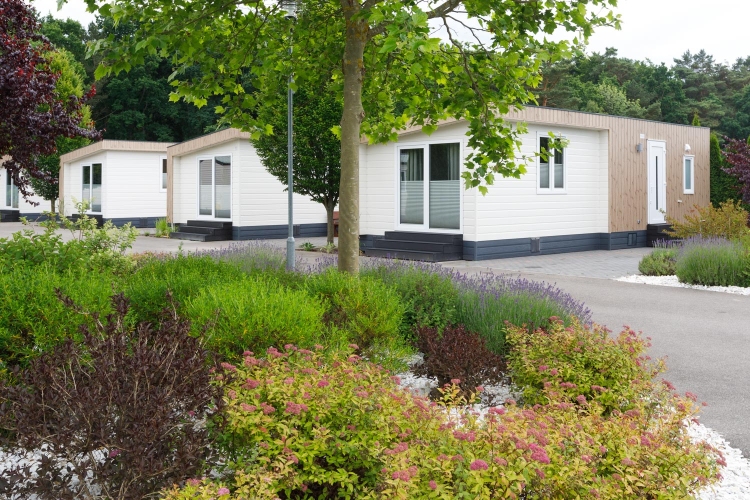 Holiday Golden Resort w Łazach