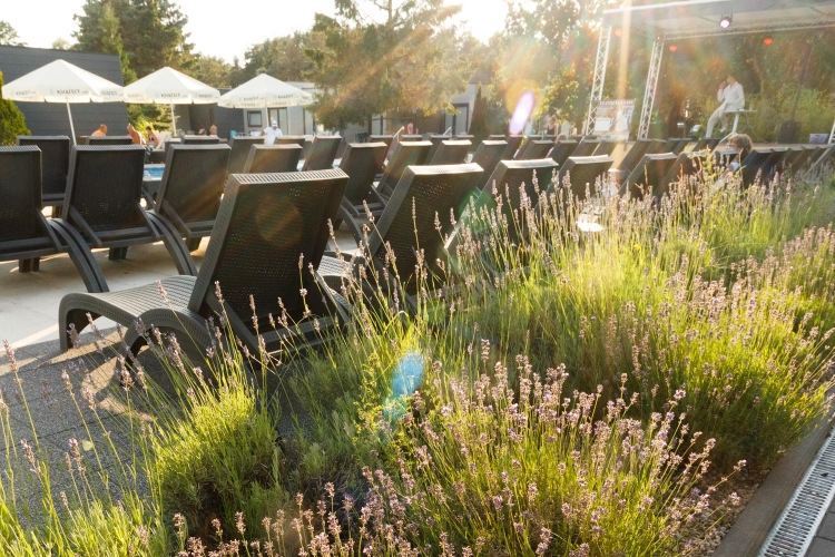 Holiday Golden Resort w Łazach