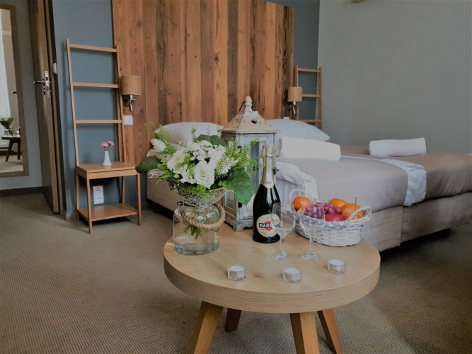 Willa Sudety w Kudowie-Zdroju