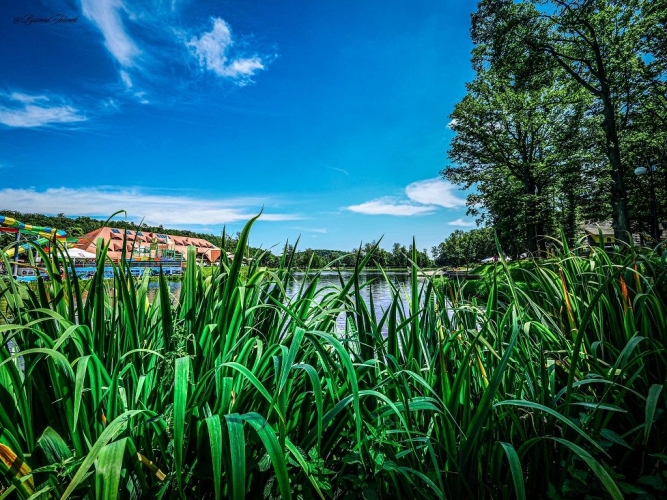 Hotel Gorzelanny w Pokrzywnej