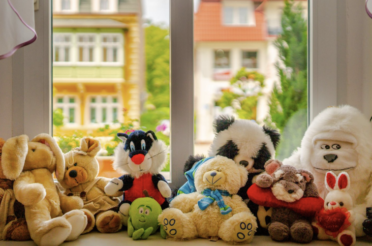 Willa Sudety w Kudowie-Zdroju