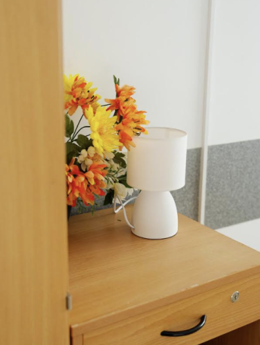 Dom Opieki HARMONIA w Wierzbicy