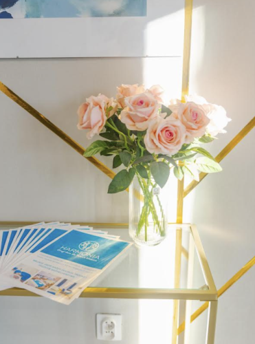 Dom Opieki HARMONIA w Wierzbicy