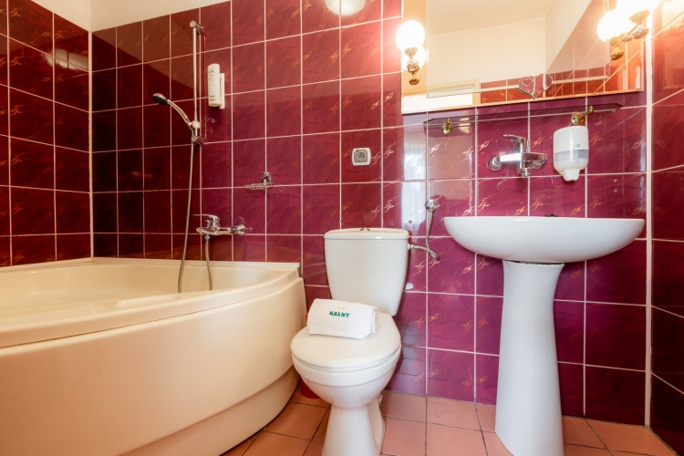 Pensjonat HALNY w Zakopanem