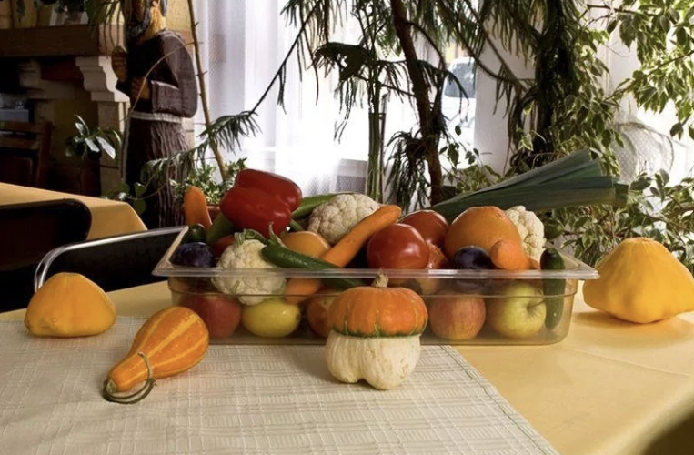 Ośrodek Profilaktyczno-Rehabilitacyjny im. o. Pio w Radawie