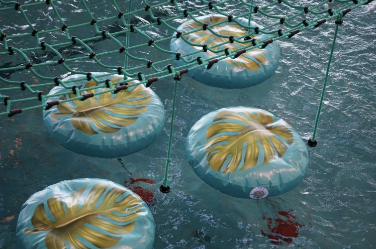 Kompleks Antałówka Termy & MED w Zakopanem