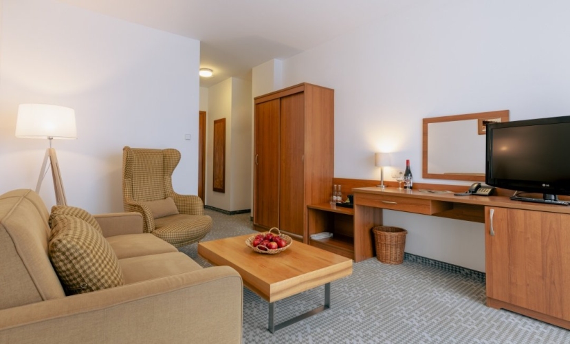 Hotel Krynica w Krynicy-Zdroju