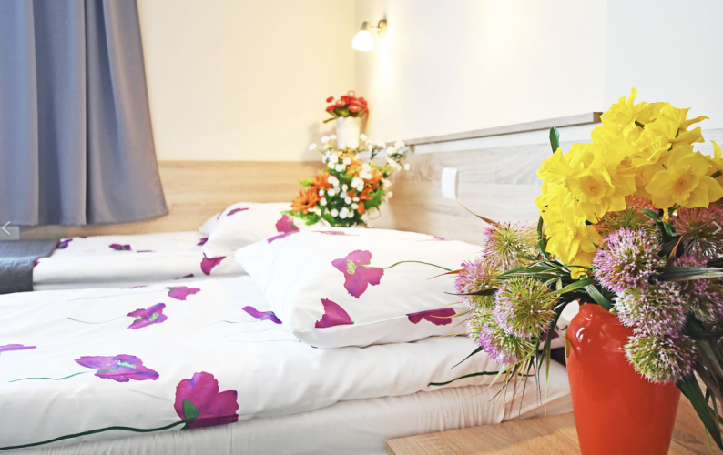 Willa Słoneczna w Busku-Zdroju