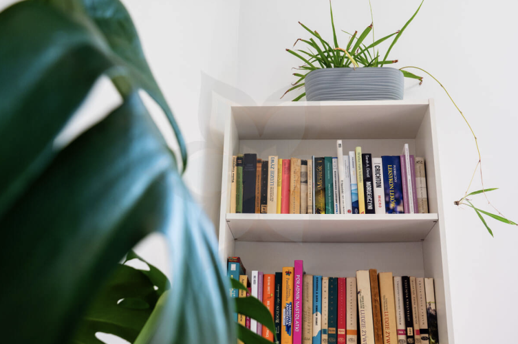 Dom Aktywnego Seniora BIAŁA RÓŻA w Konstancinie-Jeziornie