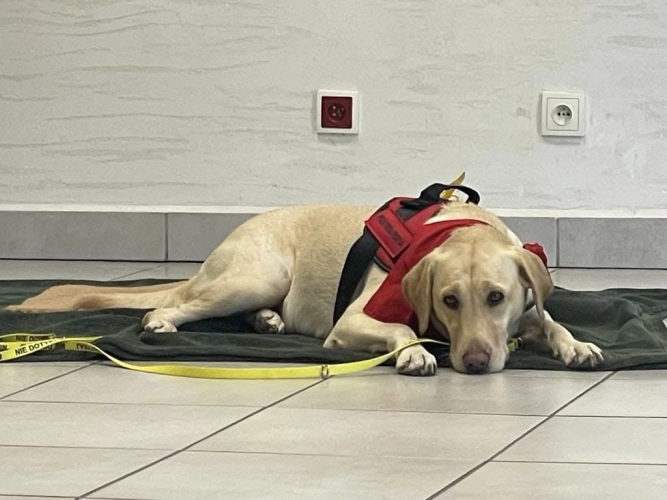 Dzienny Dom SENIOR+ w Stalowej Woli