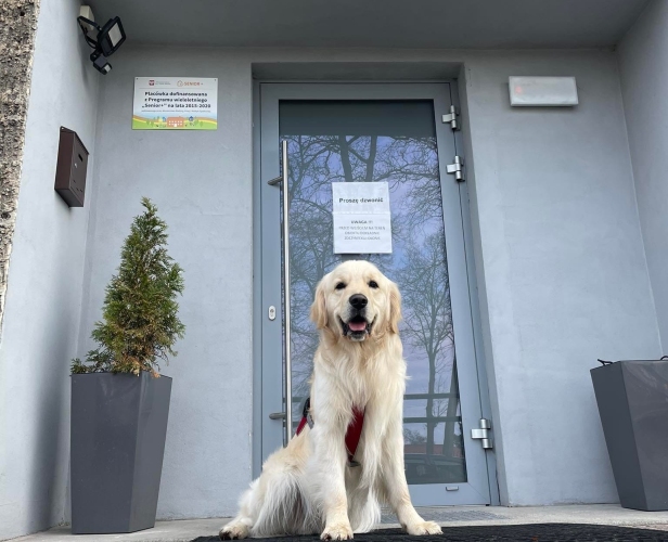 Dzienny Dom SENIOR+ w Pyskowicach